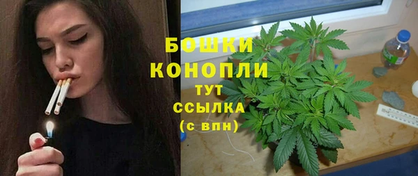 мдпв Каменка