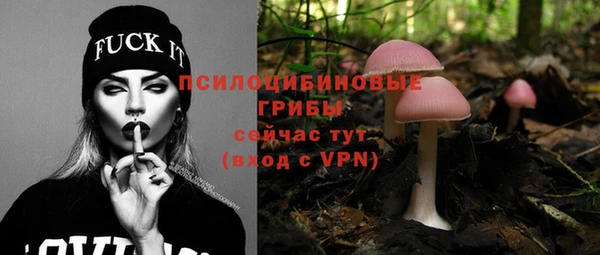 стаф Каменногорск