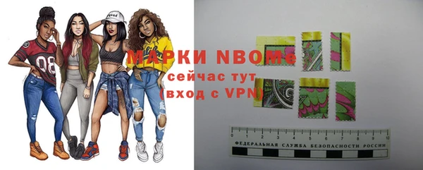 мдпв Каменка