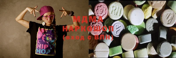 мдпв Каменка
