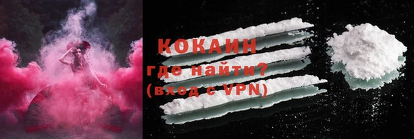 мдпв Каменка