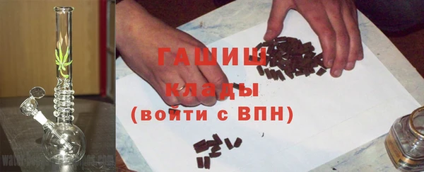стаф Каменногорск