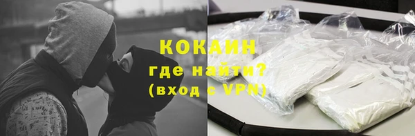 мдпв Каменка