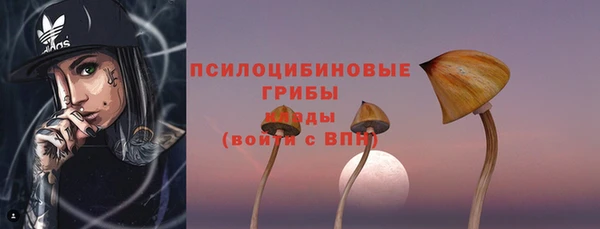 мдпв Каменка