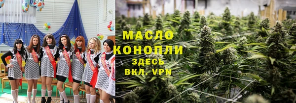 мдпв Каменка