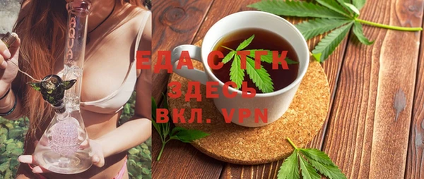 мдпв Каменка