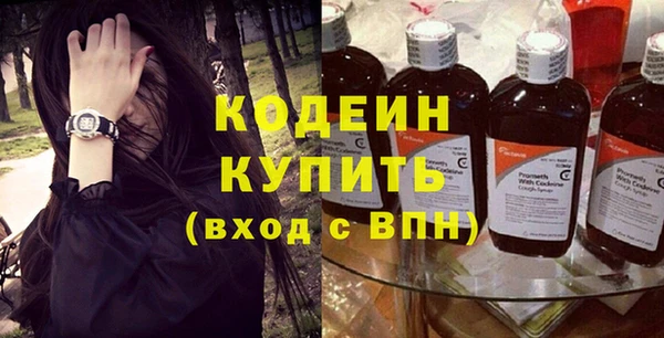 мдпв Каменка