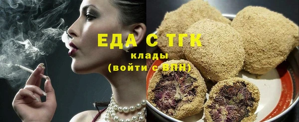 мдпв Каменка