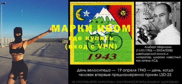 мдпв Каменка
