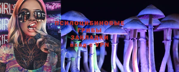 мдпв Каменск-Шахтинский