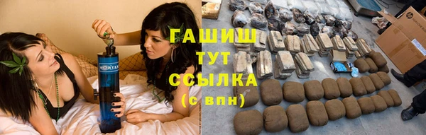 стаф Каменногорск