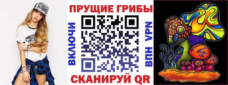 Псилоцибиновые грибы Psilocybe  Купить где  Валдай 